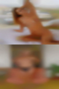 Theodorohargroves, , 